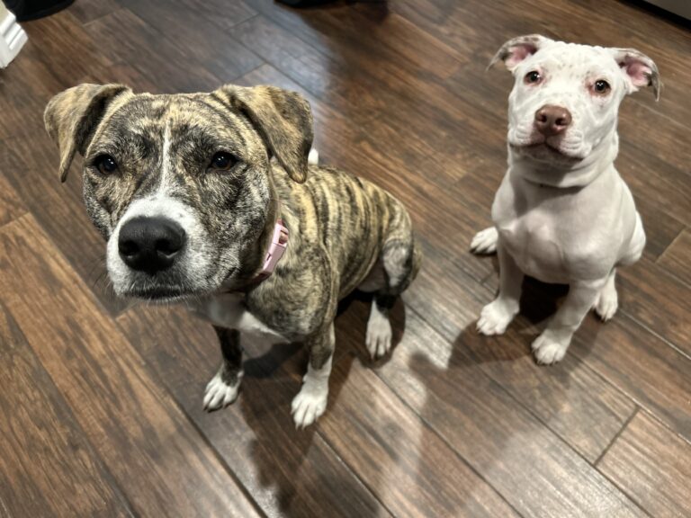 77622764976__CD28D5DC-D55E-4EEA-8FD6-AAC9D91D3613